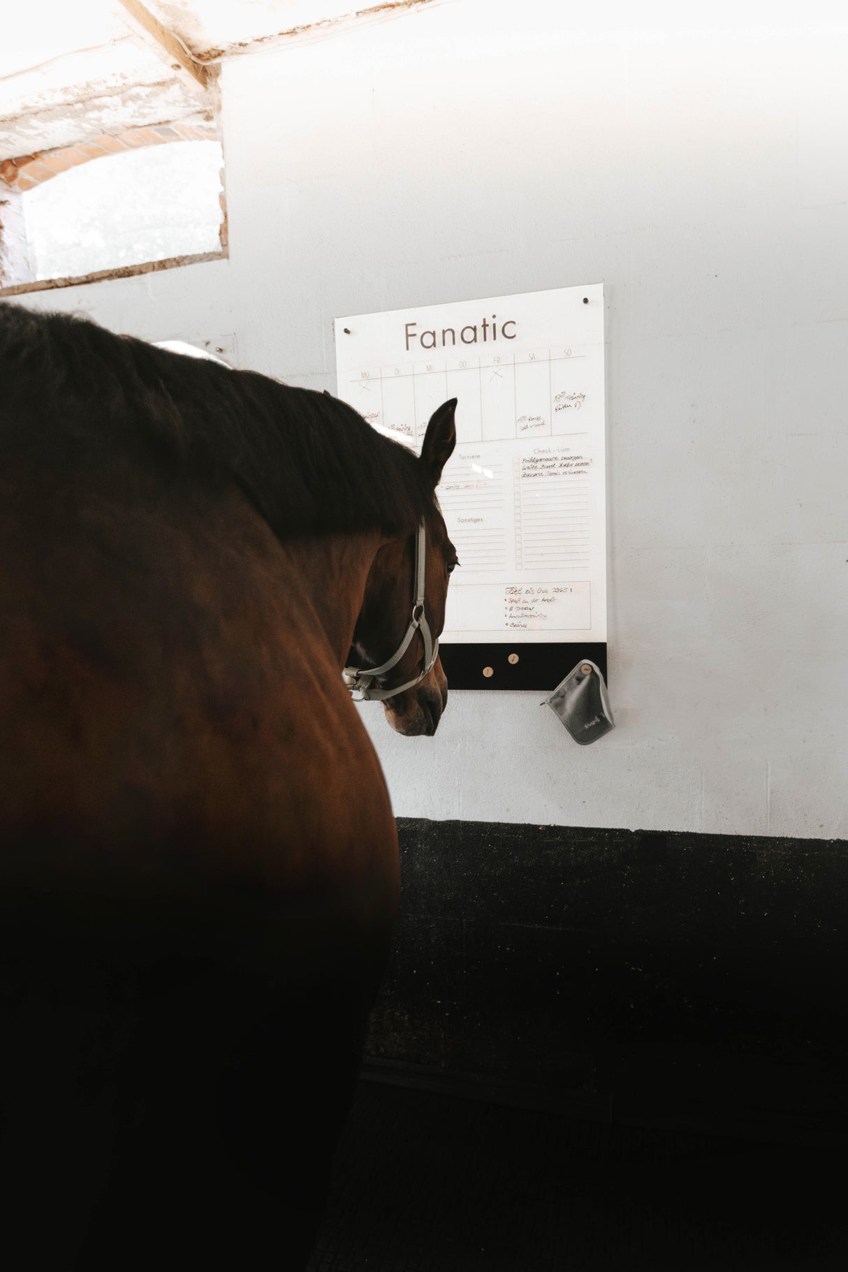 Wochenplaner @Camilla.smt Pferde Edition mit Magnetboard